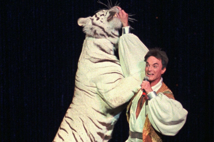 siegfried and roy stuffed white tiger