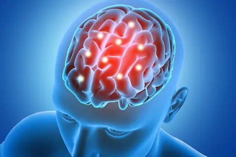 Our Brain: The Link Between Learning and Mindset