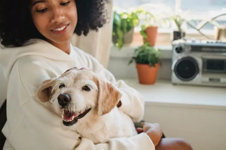 Can you use a health savings account for pets?