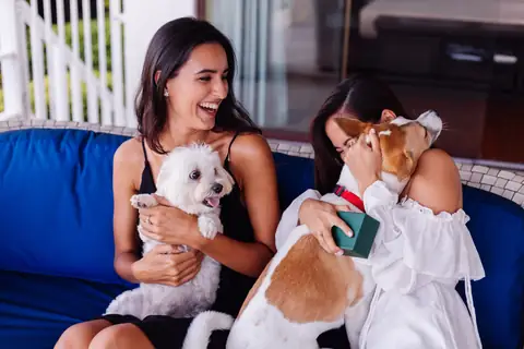 Can You Use a Health Savings Account for Pets?