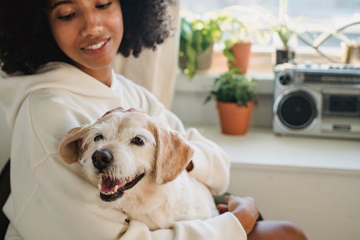 Can you use a health savings account for pets?